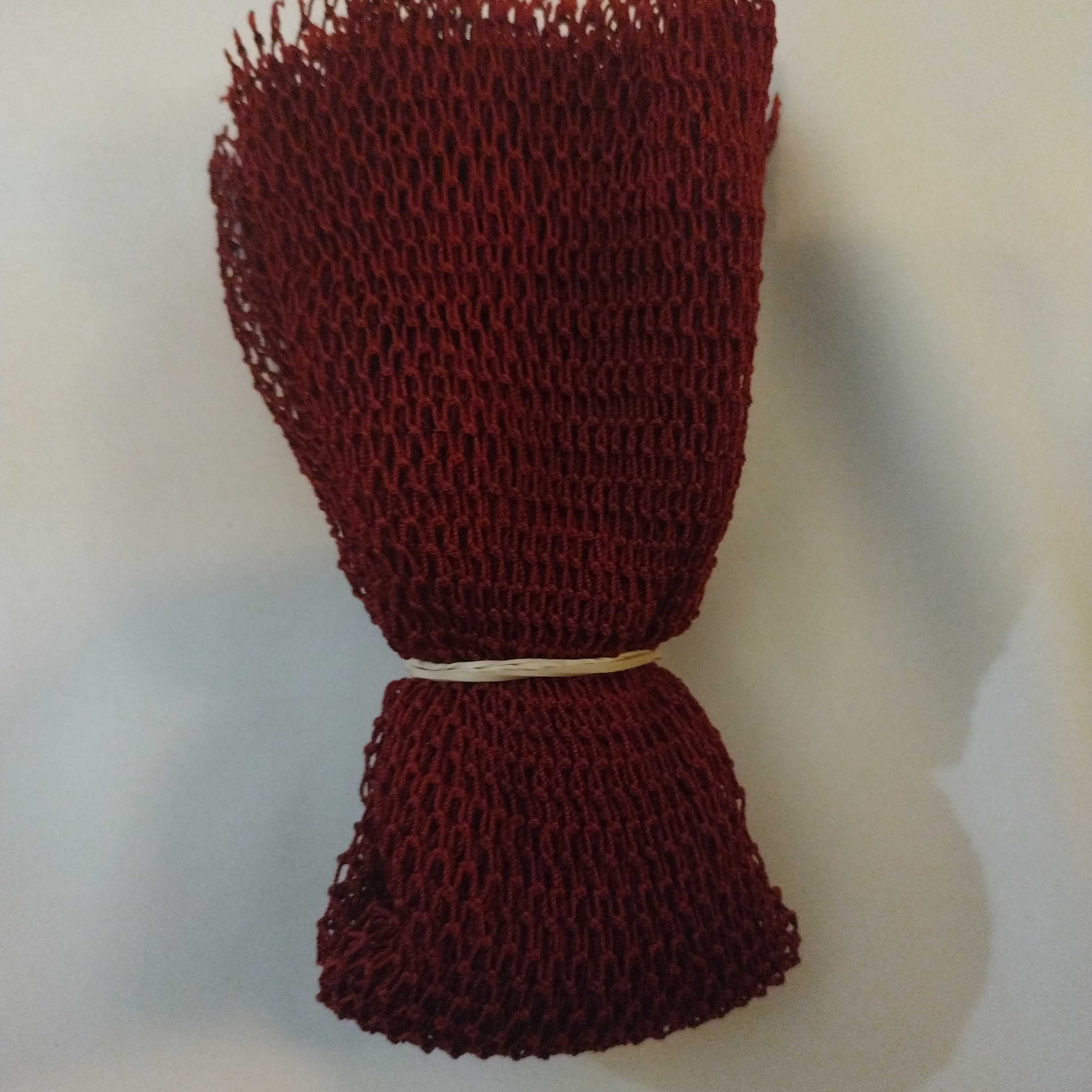 African Sponge - Image 2