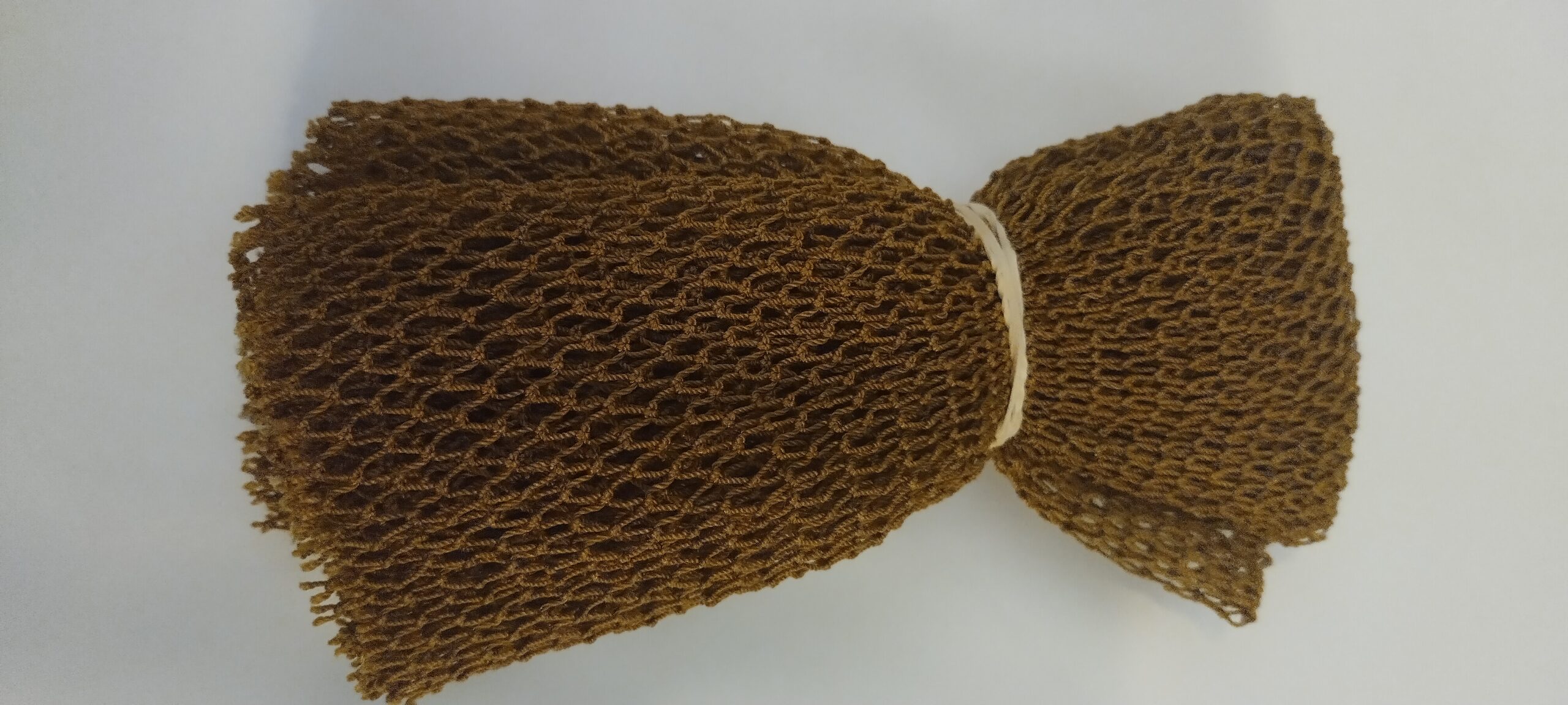 African Sponge - Image 9